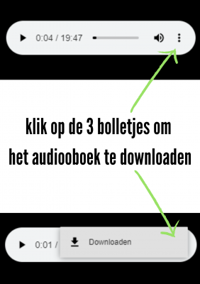 klik op de 3 bolletjes om het audiooboek te downloaden